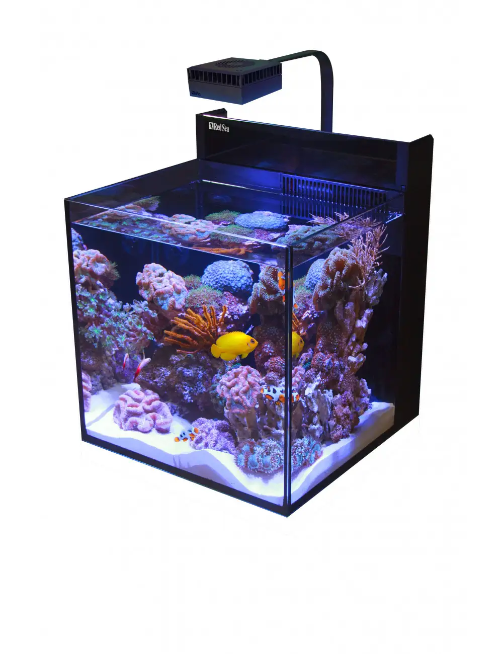 RED SEA - Max Nano - Cube - 75 L - Sin mueble - Acuario todo en uno