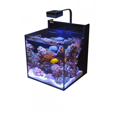 Birma Lijm Mentor RED SEA - Max Nano - Cube - 75 L - Without cabinet - Aquarium