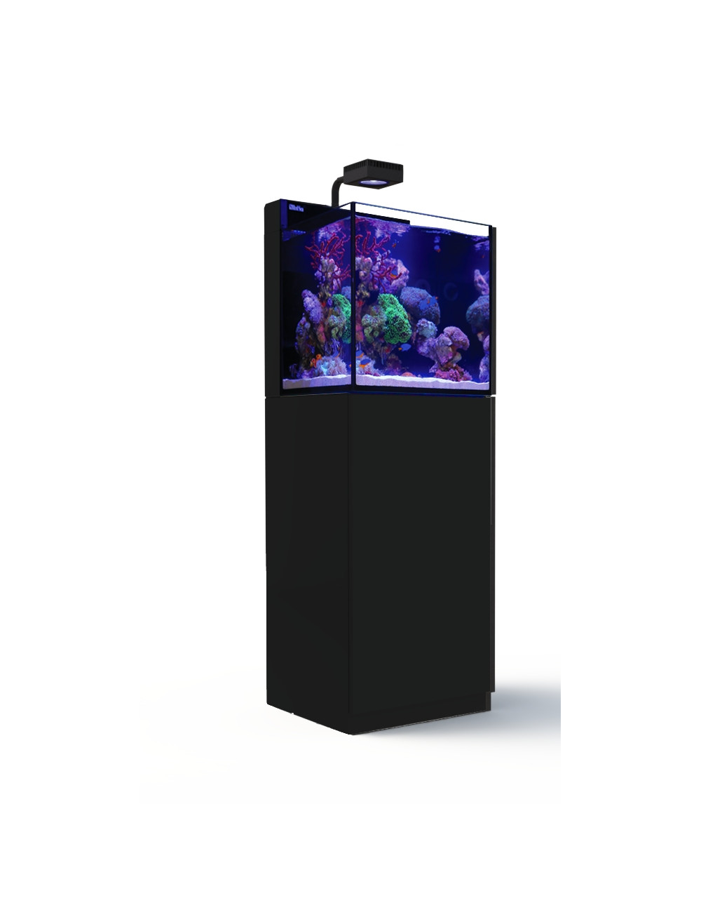 RED SEA - Max Nano - Cube - 75 L - Acuario todo en uno - Gabinete negro