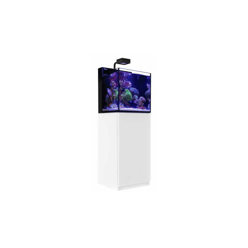 RED SEA - Max Nano - Cube - 75 L - All-in-One Aquarium - White Cabinet