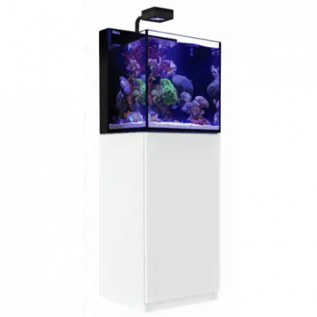 RED SEA - Max Nano - Cube - 75 L - All-in-One-Aquarium - Weiße Möbel