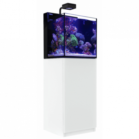 RED SEA - Max Nano - Cube - 75 L - All-in-One Aquarium - White Cabinet