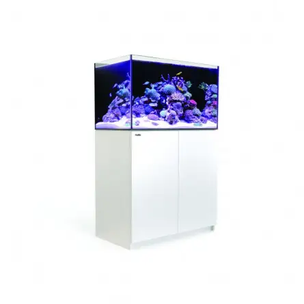 CRVENO MORE - Reefer 250 G2 - Bijela - 250 litara