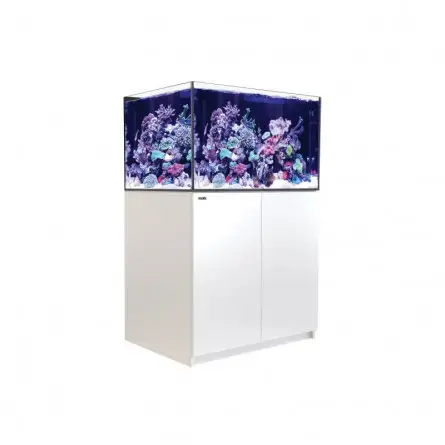 RED SEA - Reefer 300 G2 - Blanc - 246 litres