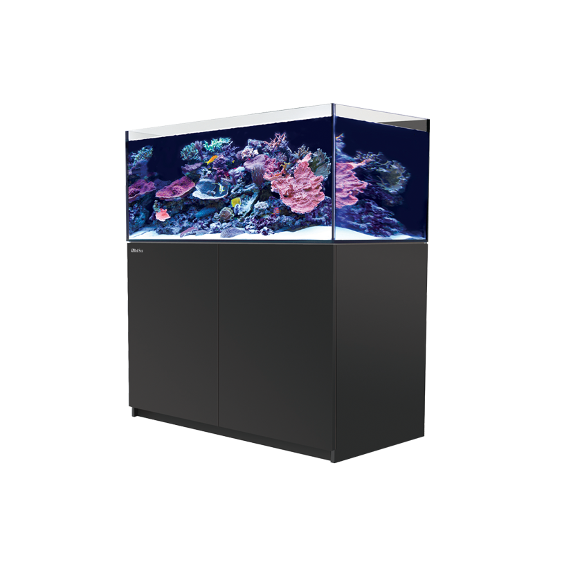 RED SEA - Reefer 425 G2 - Black - 343 liters