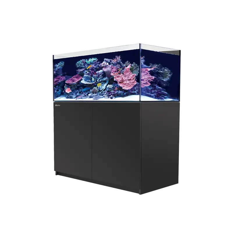 RED SEA - Reefer 425 G2 - Black - 343 liters