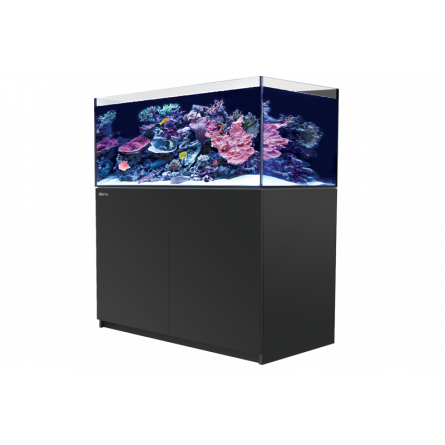 RED SEA - Reefer 425 G2 - Black - 343 liters