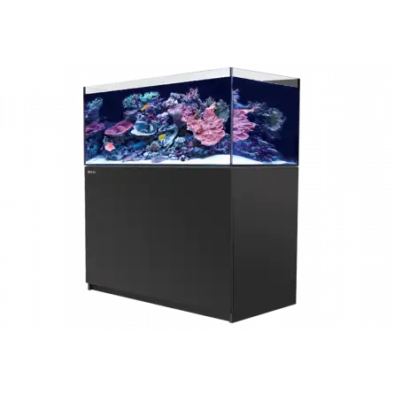 RED SEA - Reefer 425 G2 - Black - 343 liters