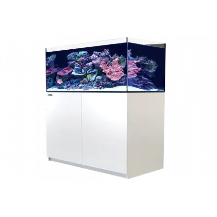 CRVENO MORE - Reefer 425 G2 - Bijela - 343 litara