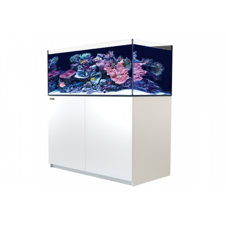 RED SEA - Reefer 425 G2 - Bianco - 343 litri