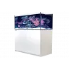 RED SEA - Reefer 425 G2 - Blanc - 343 litres