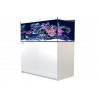 RED SEA - Reefer 425 G2 - White - 343 liters