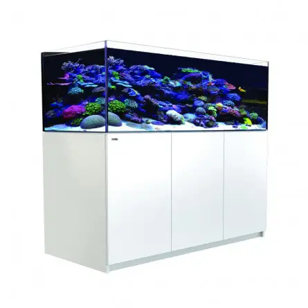 RED SEA - Reefer 525 G2 - Bianco - 423 litri