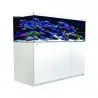 RED SEA - Reefer 525 G2 - Blanc - 423 litres