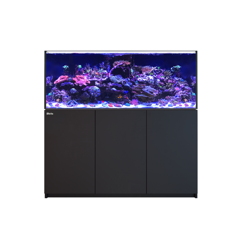 CRVENO MORE - Reefer 625 G2 - Black - 497 litara