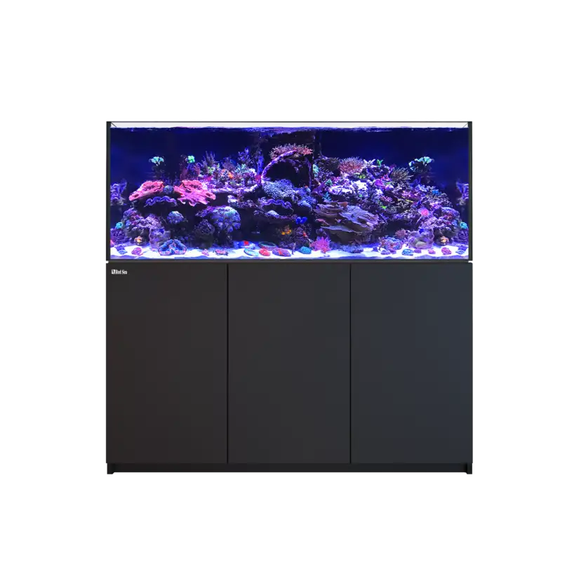 CRVENO MORE - Reefer 625 G2 - Black - 497 litara