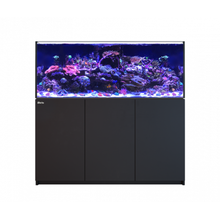 RED SEA - Reefer 625 G2 - Black - 497 liters