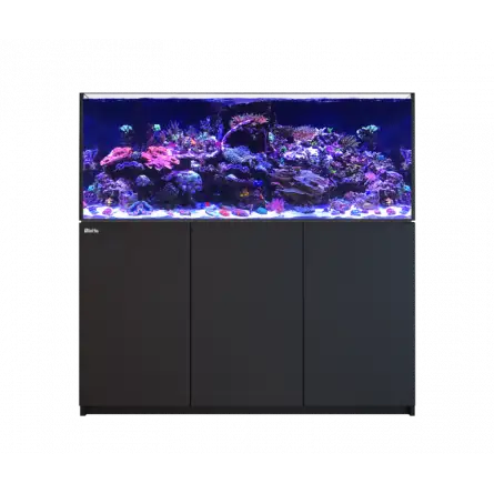 RED SEA - Reefer 625 G2 - Black - 497 liters