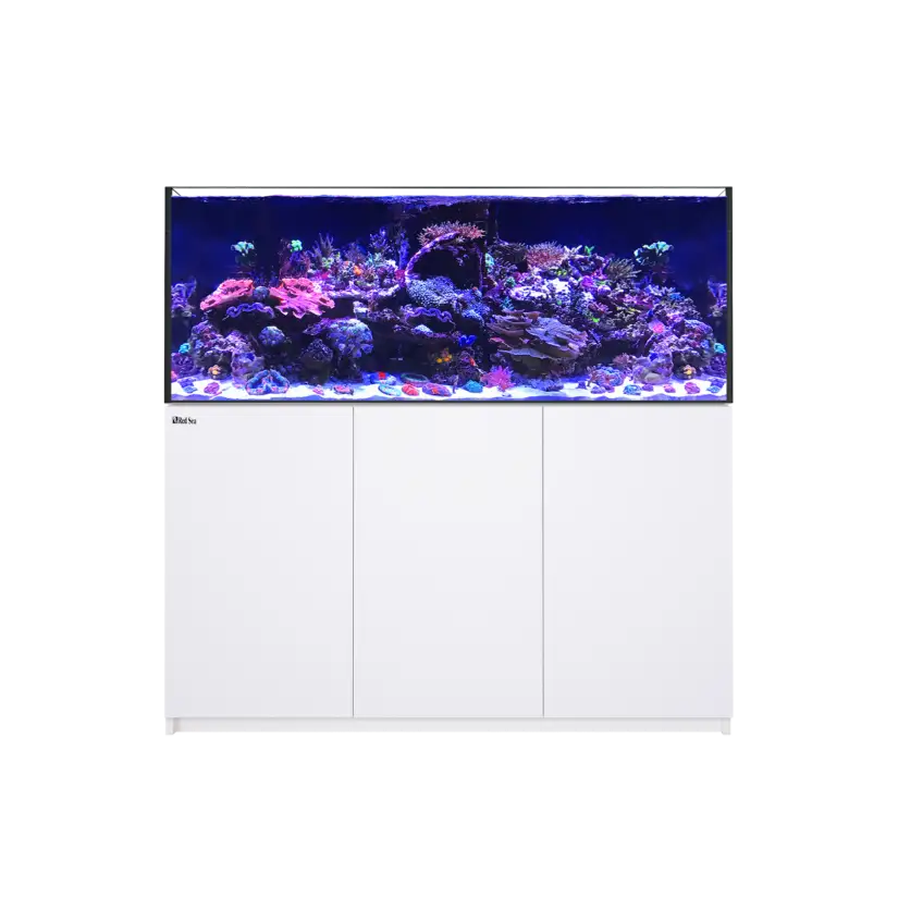 RED SEA - Reefer 625 G2 - Bianco - 497 litri