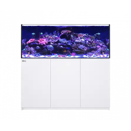 RED SEA - Reefer 625 G2 - Bianco - 497 litri