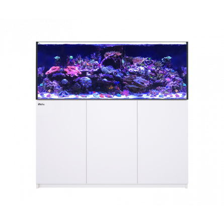 RED SEA - Reefer 625 G2 - White - 497 liters