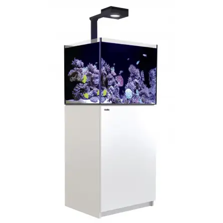 CRVENO MORE - Reefer 200 G2 Deluxe - Bijela - 158 litara - 1 ReefLED 90 i 1 šipka