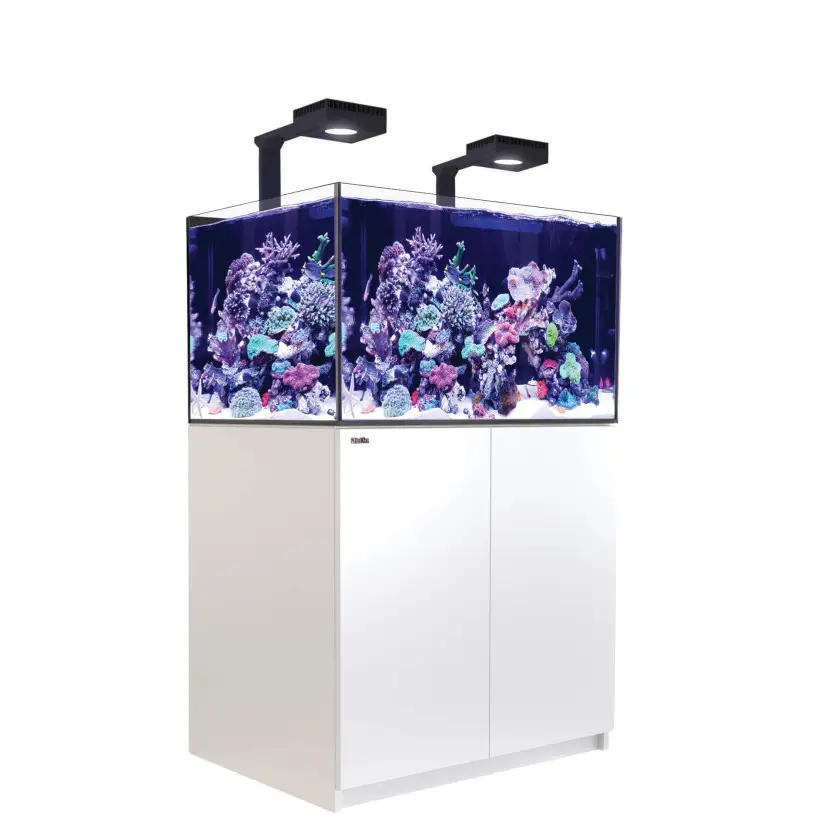 CRVENO MORE - Reefer 300 G2 Deluxe - Bijela - 246 litara - 2 ReefLED 90 i 2 vretena