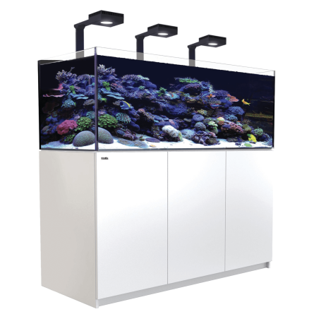 CRVENO MORE - Reefer 525 G2 Deluxe - Bijela - 423 litre - 3 ReefLED 90 i 3 stuba