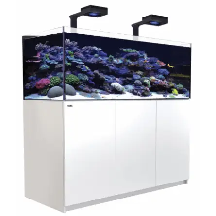 RDEČE MORJE - Reefer 525 G2 Deluxe - Bela - 423 litrov - 2 ReefLED 160S in 2 stebla