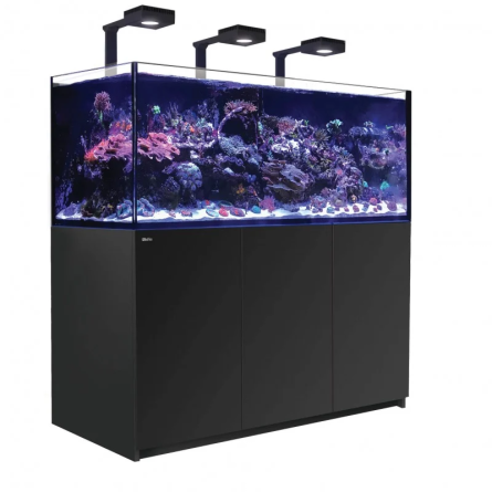 RDEČE MORJE - Reefer 625 G2 Deluxe - Črna - 497 litrov - 3 ReefLED 90 in 3 stebla