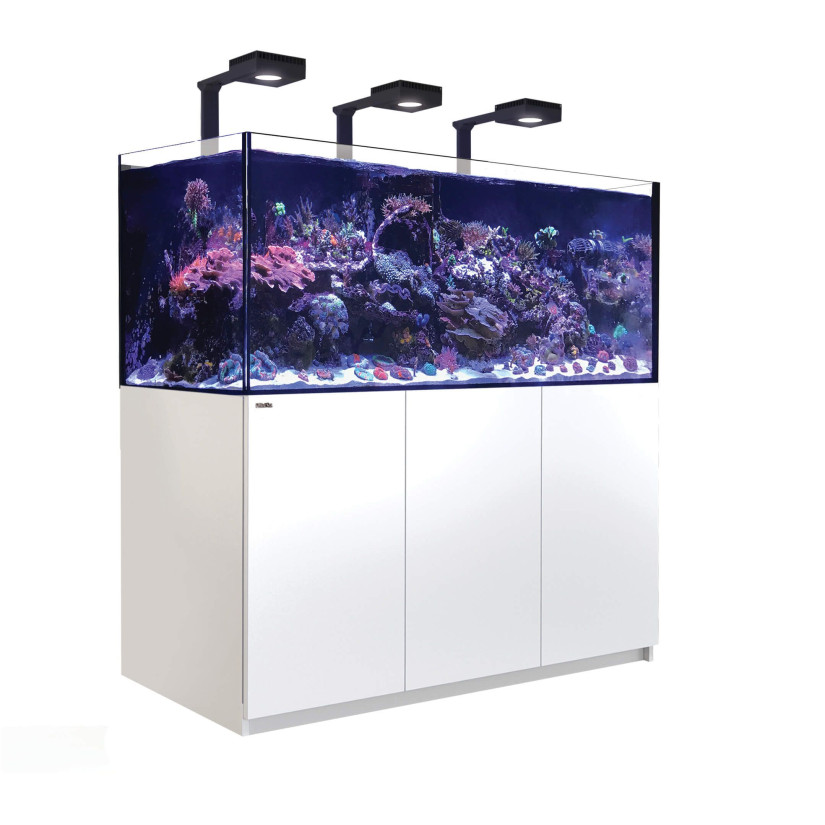 CRVENO MORE - Reefer 625 G2 Deluxe - Bijela - 497 litara - 3 ReefLED 90 i 3 stuba