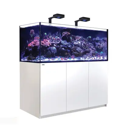 RED SEA - Reefer 625 G2 Deluxe - Zwart - 497 liter - 2 ReefLED 160S en 2 stuurpennen