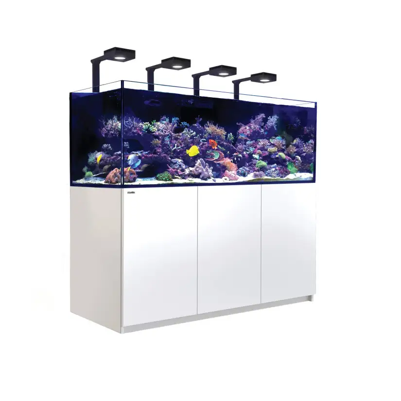 RDEČE MORJE - Reefer 750 G2 Deluxe - Bela - 600 litrov - 4 ReefLED 90 in 4 stebla