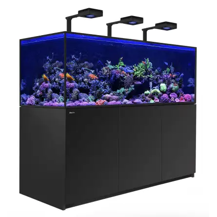 RDEČE MORJE - Reefer-S 850 G2 Deluxe - Črna - 680 litrov - 3 ReefLED 160S in 3 stebla