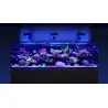 CRVENO MORE - Reefer-S 850 G2 Deluxe - crna - 680 litara - 3 ReefLED 160S i 3 stuba