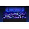 RED SEA - Reefer-S 850 G2 Deluxe - Negro - 680 litros - 3 ReefLED 160S y 3 potencias