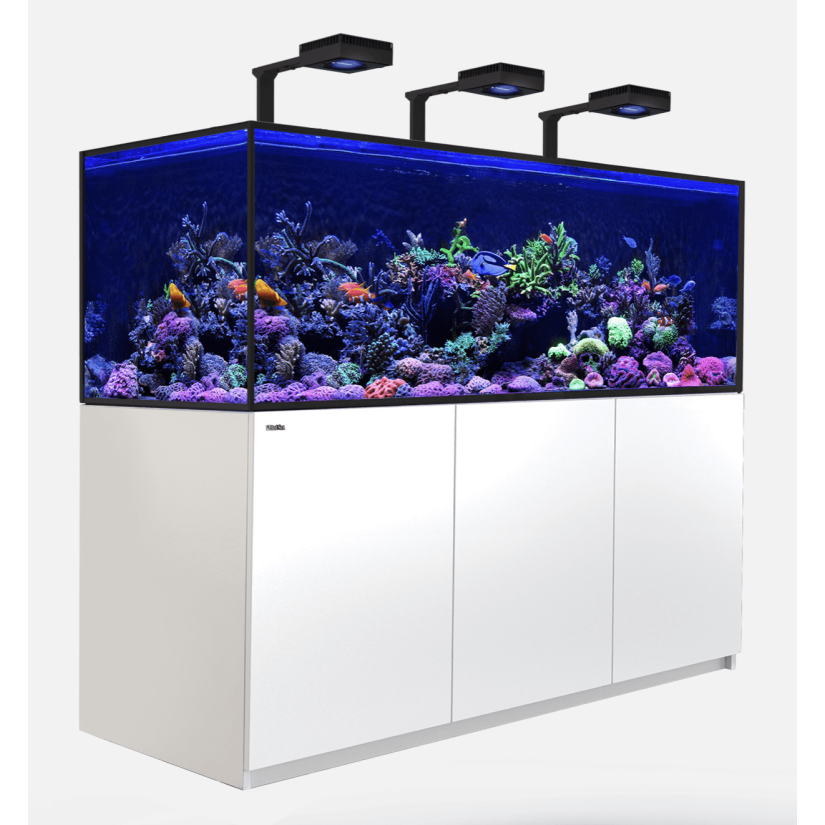 CRVENO MORE - Reefer-S 850 G2 Deluxe - Bijela - 680 litara - 3 ReefLED 160S i 3 kraka