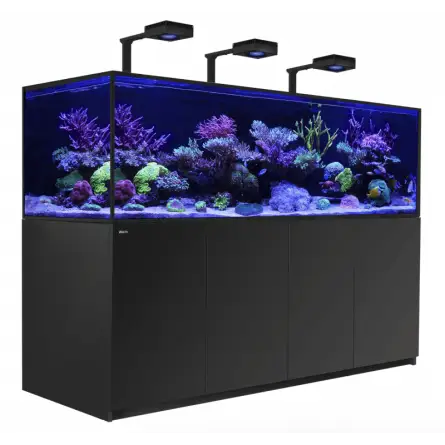 CRVENO MORE - Reefer-S 1000 G2 Deluxe - crna - 795 litara - 3 ReefLED 160S i 3 stuba