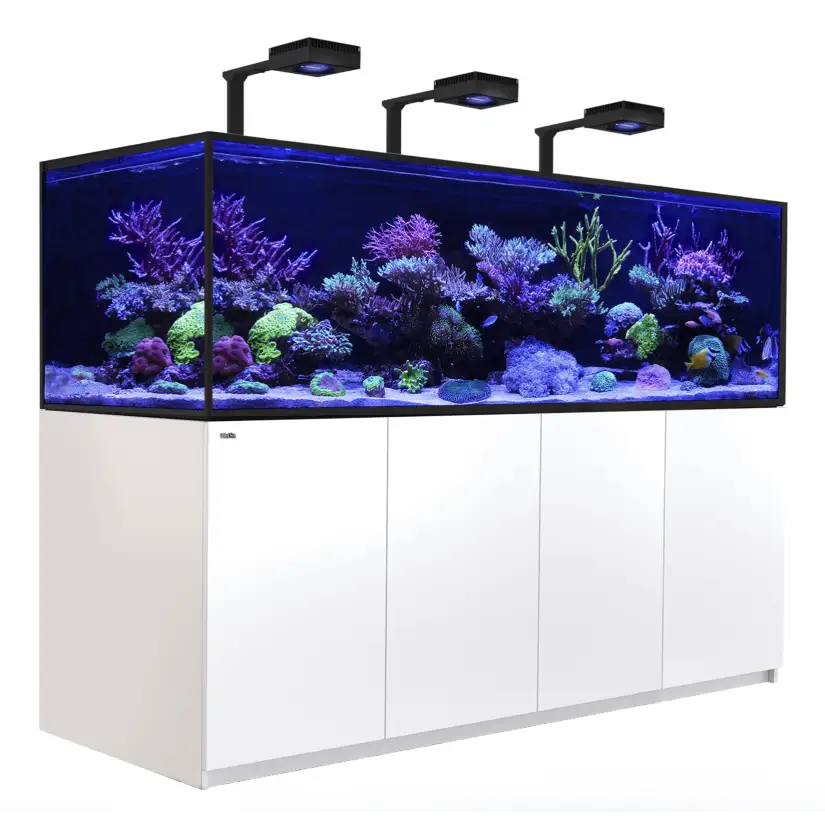 CRVENO MORE - Reefer-S 1000 G2 Deluxe - Bijela - 795 litara - 3 ReefLED 160S i 3 šipke