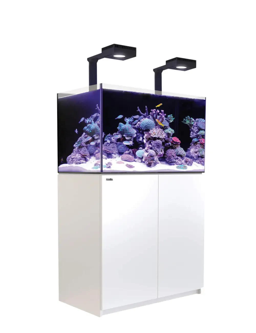 RDEČE MORJE - Reefer 250 G2 Deluxe - Bela - 203 litrov - 2 ReefLED 90 in 2 stebla