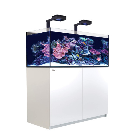 CRVENO MORE - Reefer 425 G2 Deluxe - Bijela - 343 litara - 2 ReefLED 160S i 2 vretena