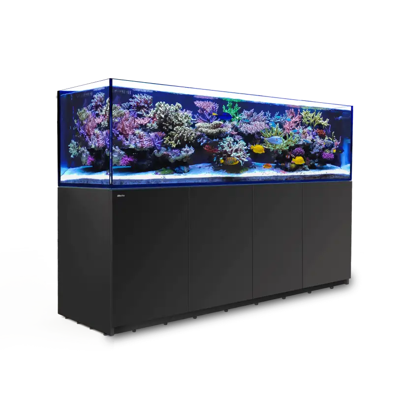 CRVENO MORE - Reefer 900 G2 - Black - 720 litara