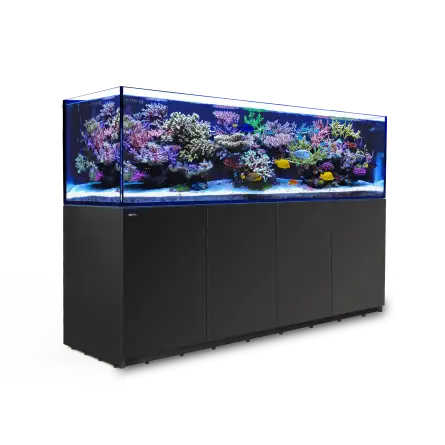 CRVENO MORE - Reefer 900 G2 - Black - 720 litara