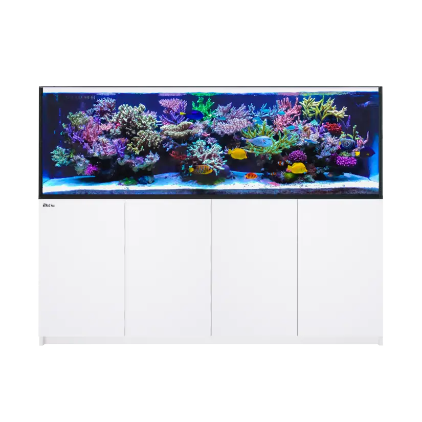 CRVENO MORE - Reefer 900 G2 - Bijela - 720 litara