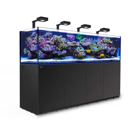 RED SEA - Reefer 900 G2 Deluxe - Zwart - 720 liter - 4 ReefLED 90 en 4 stuurpennen