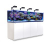 RED SEA - Reefer 900 G2 Deluxe - Wit - 720 liter - 4 ReefLED 90 en 4 stelen