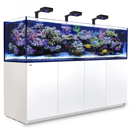 CRVENO MORE - Reefer 900 G2 Deluxe - Black - 720 litara - 3 ReefLED 160S i 3 stuba