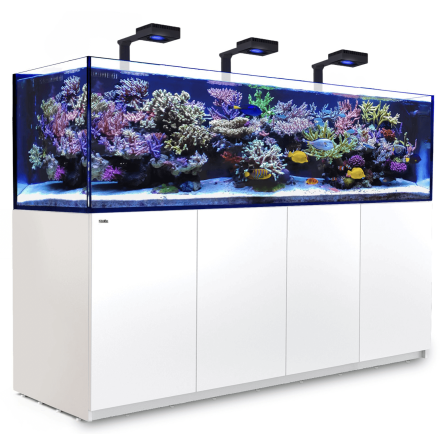 RDEČE MORJE - Reefer 900 G2 Deluxe - Črna - 720 litrov - 3 ReefLED 160S in 3 stebla