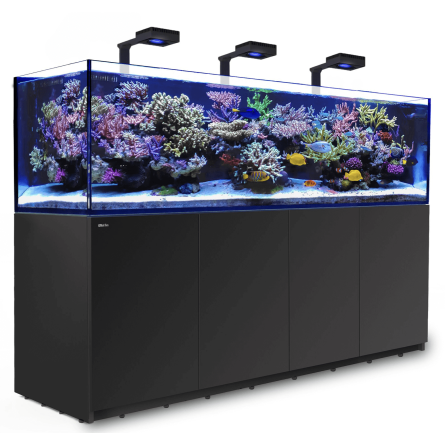 CRVENO MORE - Reefer 900 G2 Deluxe - Black - 720 litara - 3 ReefLED 160S i 3 stuba