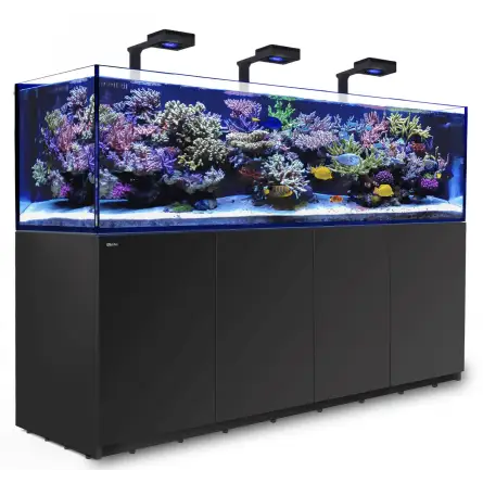 RED SEA - Reefer 900 G2 Deluxe - Black - 720 liters - 3 ReefLED 160S and 3 stems